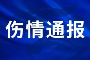 蜘蛛直播-蜘蛛体育免费直播_蜘蛛足球直播在线观看_足球在线直播